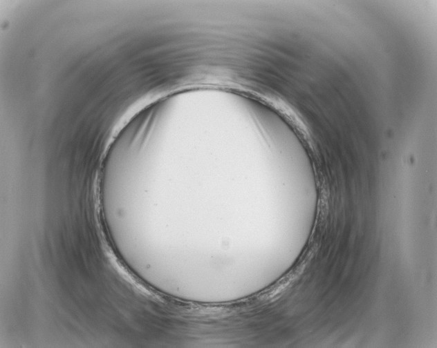 X0000085211382200704091855