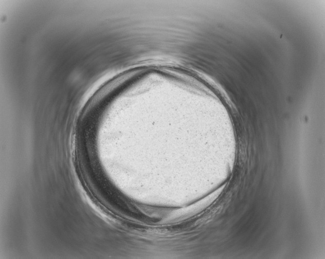 X0000085211383200704091855