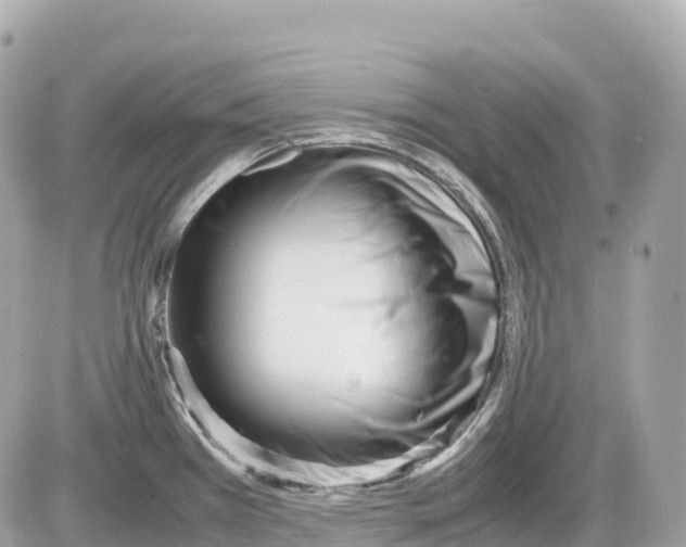 X0000085211385200704091855