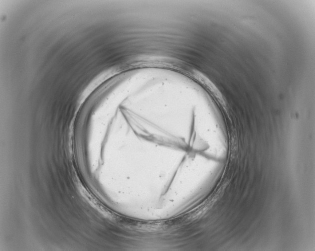 X0000085211386200704091855