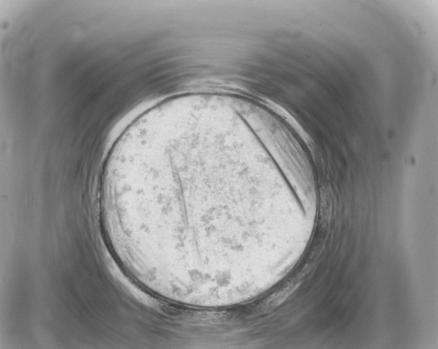 X0000085211387200704091855