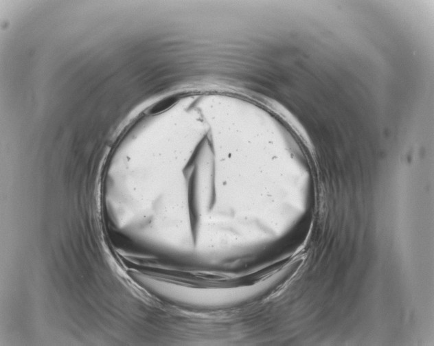 X0000085211388200704091855