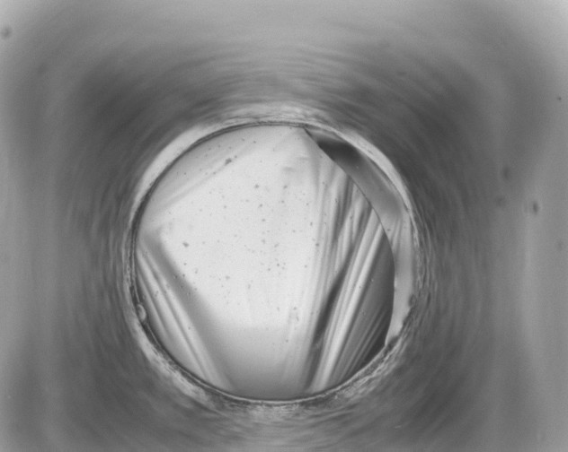 X0000085211389200704091855