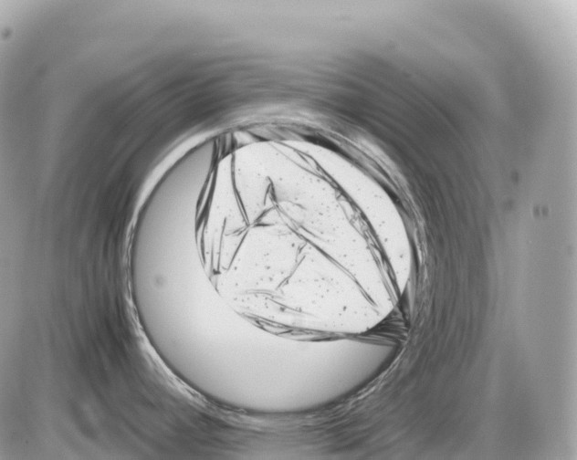 X0000085211392200704091855