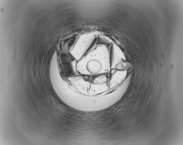 X0000085211394200704091854