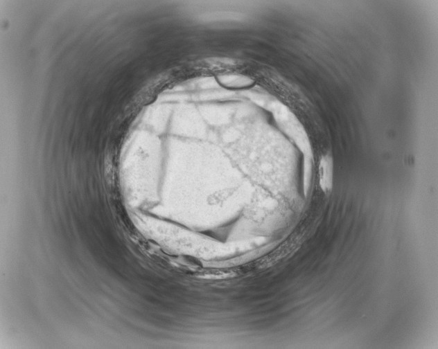 X0000085211395200704091854