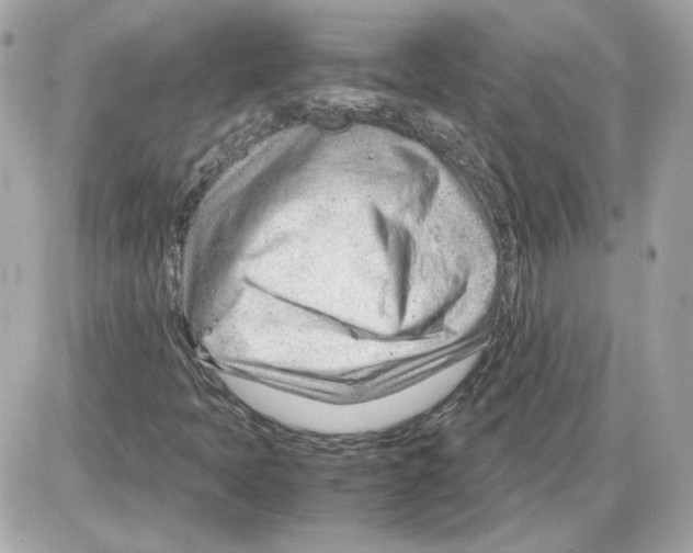 X0000085211397200704091854