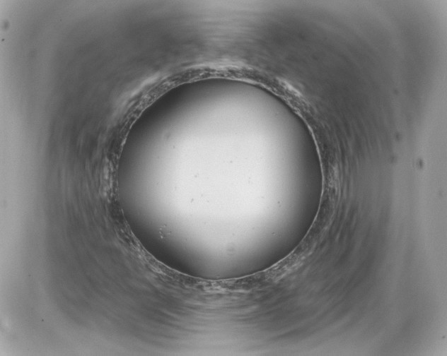 X0000085211398200704091854