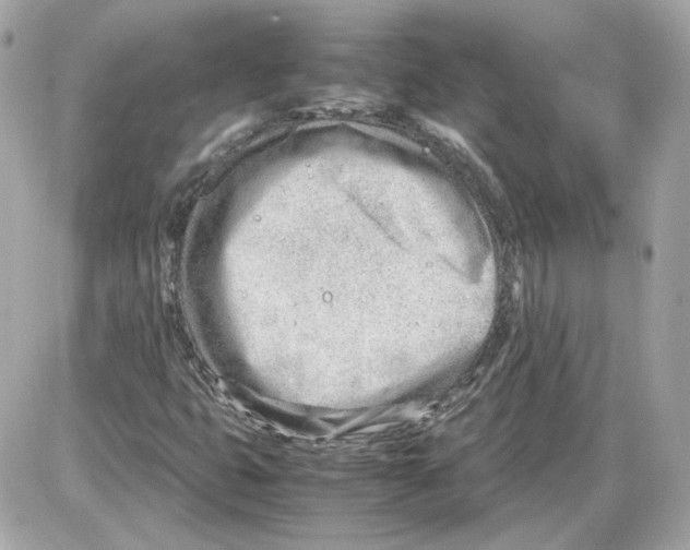 X0000085211399200704091854