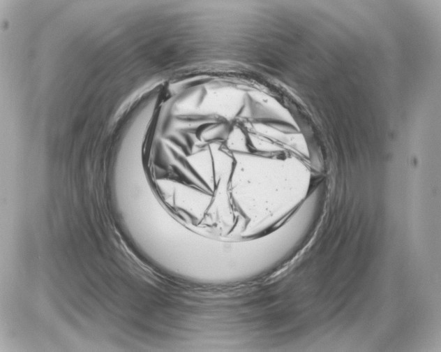 X0000085211402200704091854