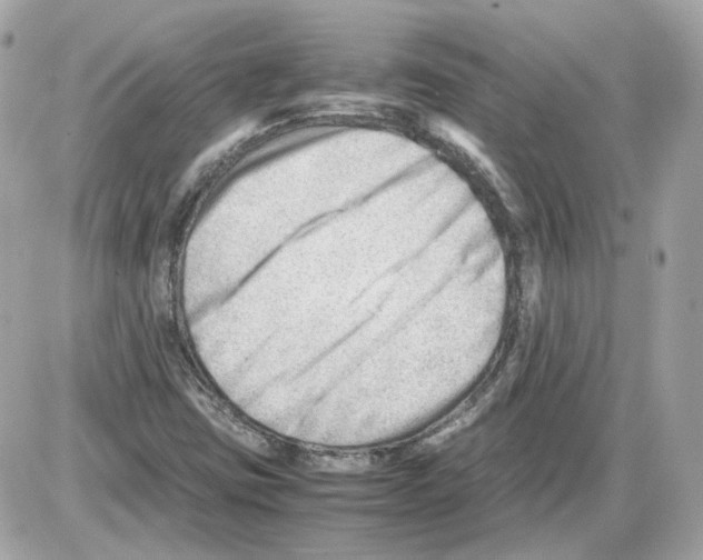 X0000085211403200704091854