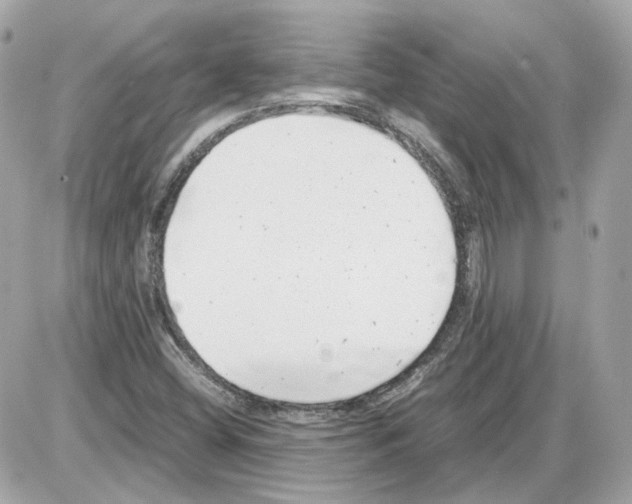 X0000085211404200704091854