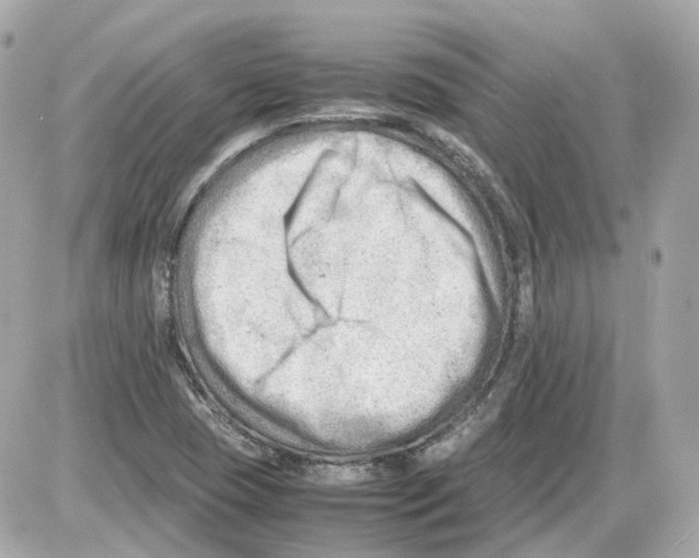 X0000085211409200704091854