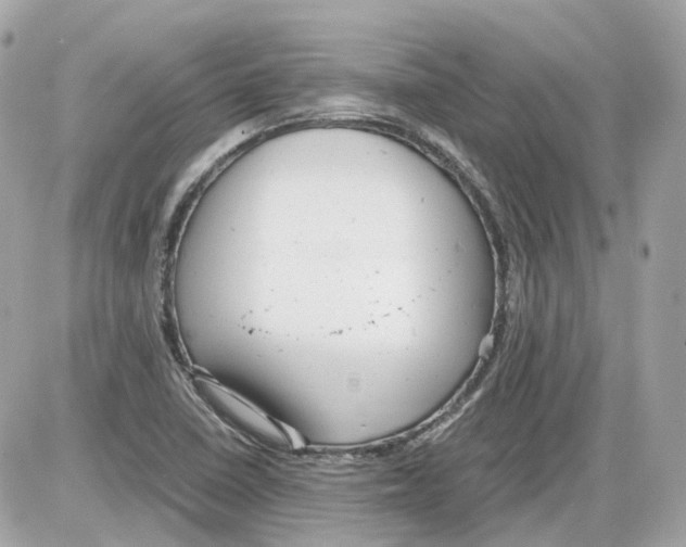 X0000085211410200704091854