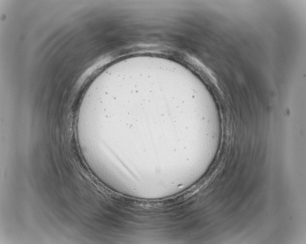 X0000085211411200704091854