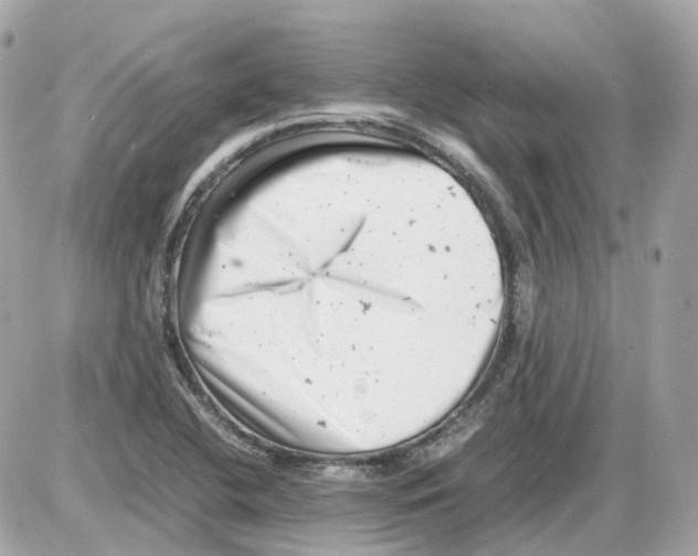 X0000085211412200704091854