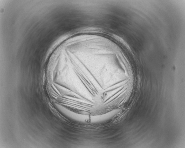 X0000085211413200704091854