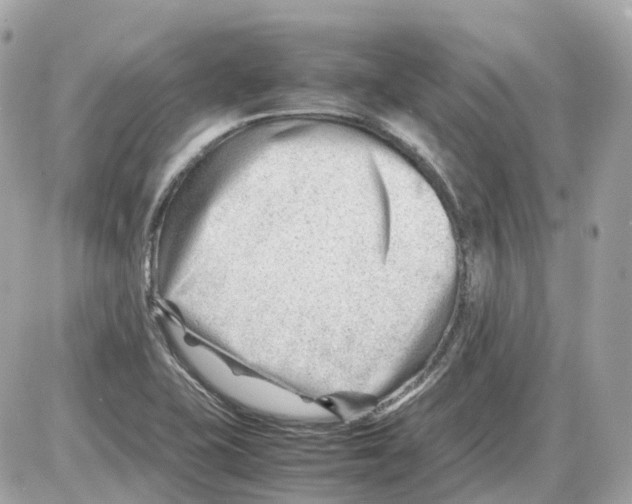 X0000085211415200704091855