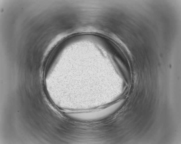 X0000085211416200704091855