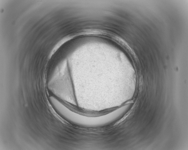 X0000085211417200704091855