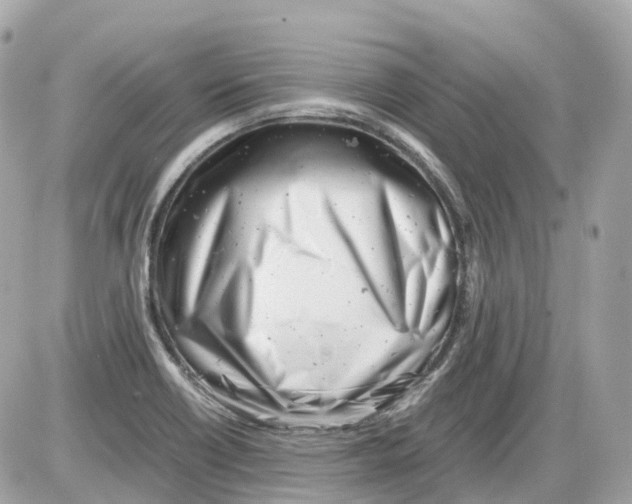 X0000085211418200704091855