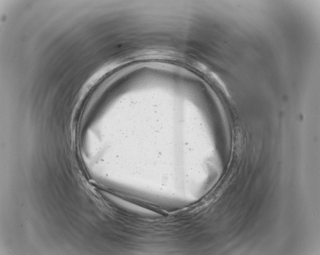 X0000085211419200704091855