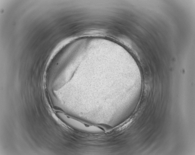 X0000085211421200704091855