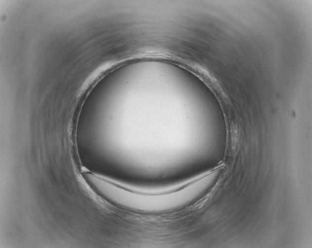 X0000085211422200704091855