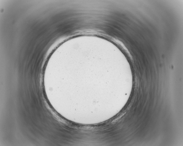 X0000085211424200704091855