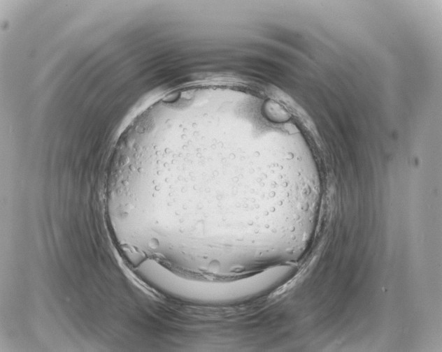 X0000085211425200704091855