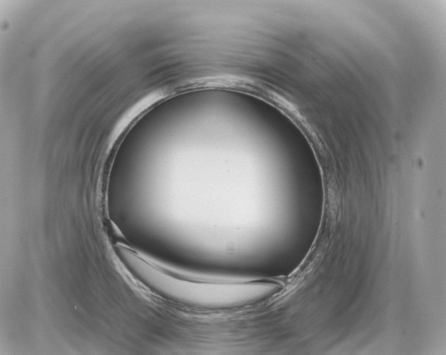 X0000085211426200704091855