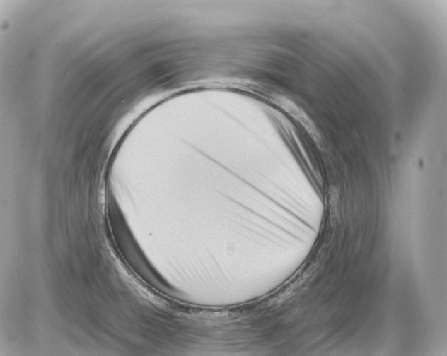 X0000085211428200704091855