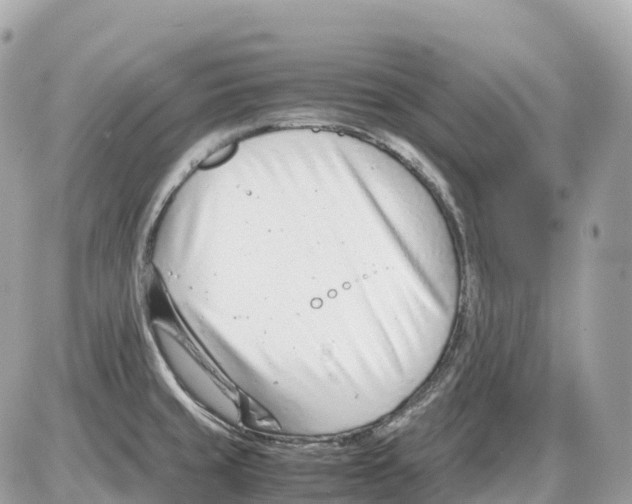 X0000085211429200704091855