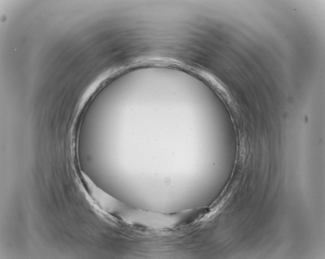 X0000085211430200704091855