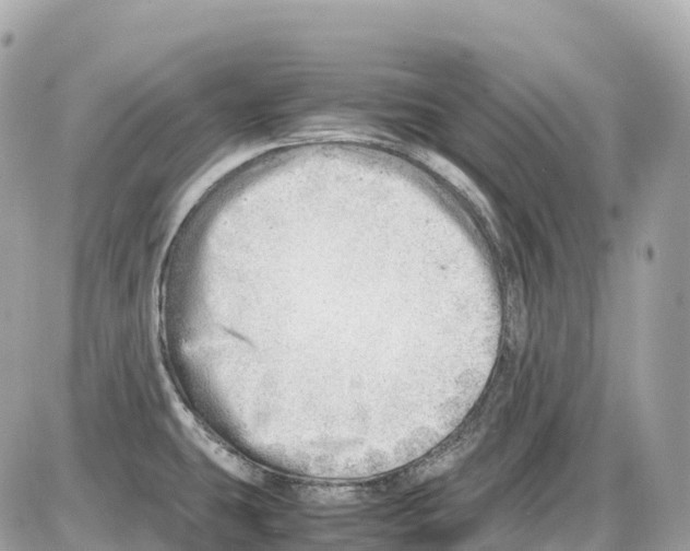 X0000085211431200704091855