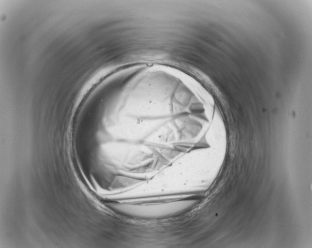 X0000085211432200704091855