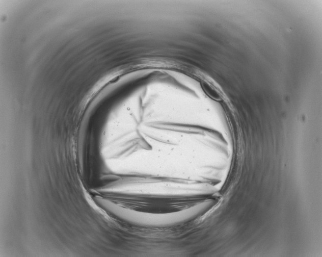 X0000085211433200704091855