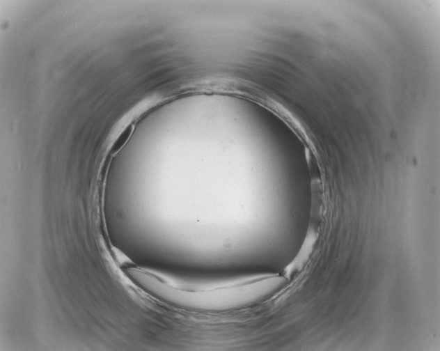 X0000085211434200704091855