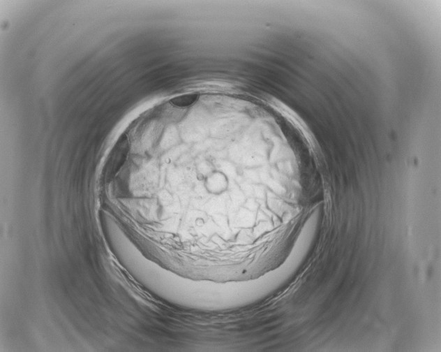 X0000085211435200704091855