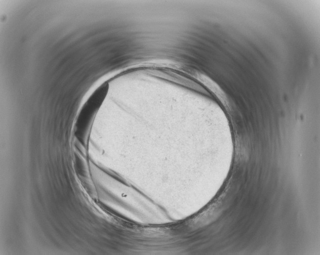 X0000085211436200704091855