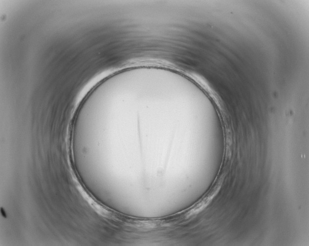 X0000085211438200704091855