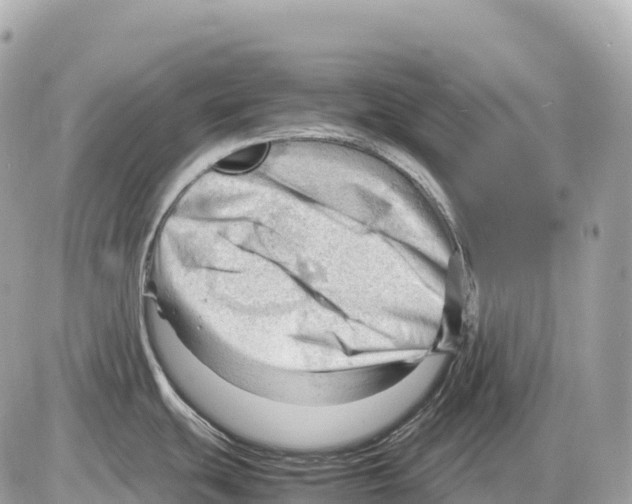 X0000085211439200704091855