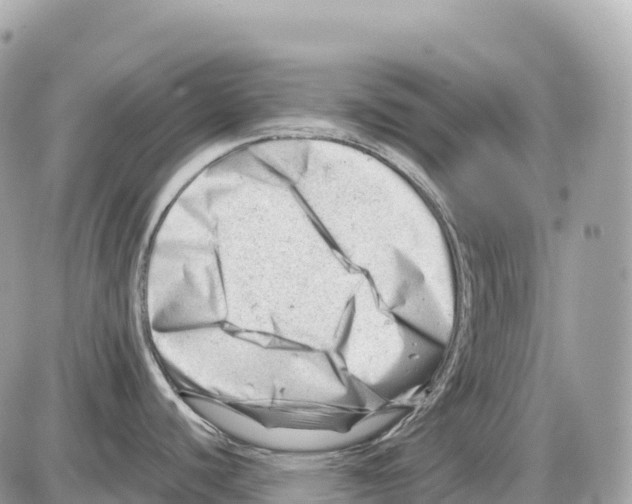 X0000085211440200704091855