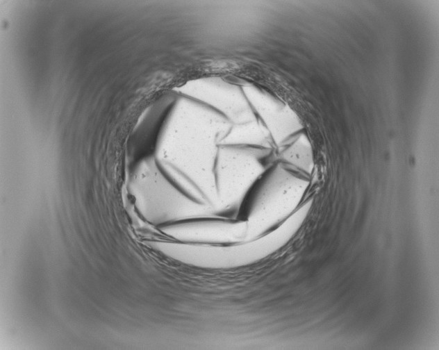 X0000085211441200704091854