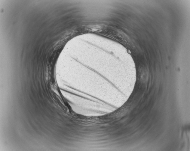 X0000085211442200704091854