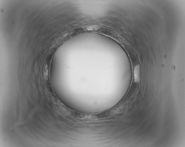 X0000085211443200704091854