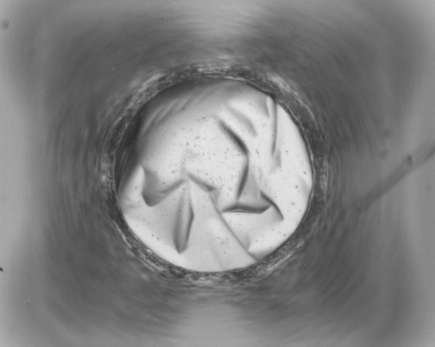 X0000085211445200704091854