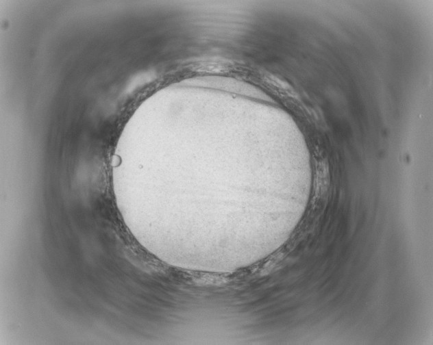 X0000085211446200704091854