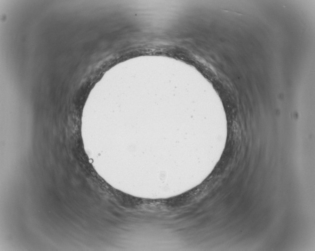 X0000085211447200704091854