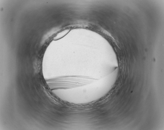 X0000085211448200704091854